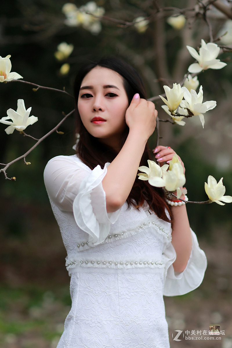 白玉兰物语（桐桐）