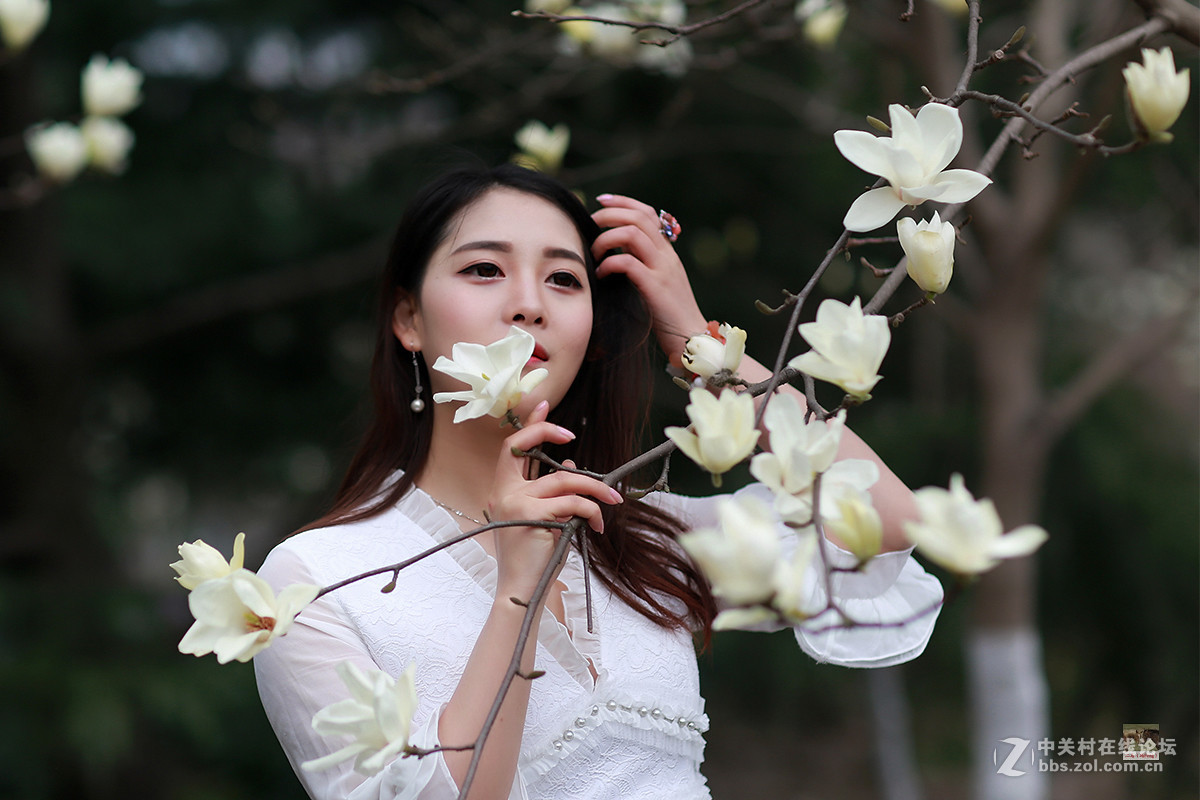 白玉兰物语（桐桐）