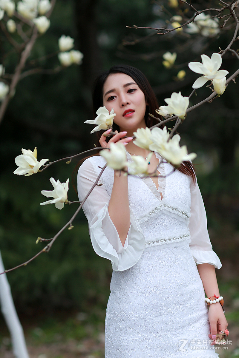 白玉兰物语（桐桐）