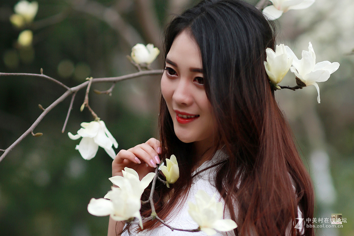 白玉兰物语（桐桐）