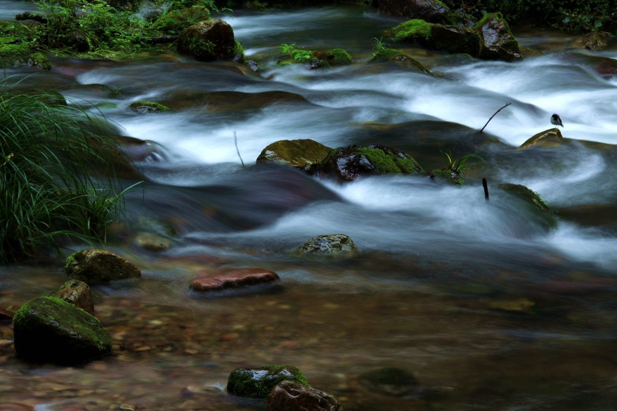 金边溪原生态之美