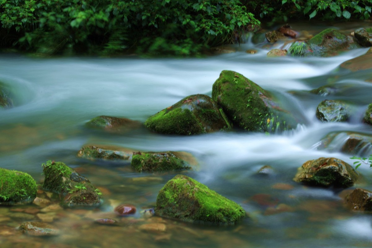 金边溪原生态之美