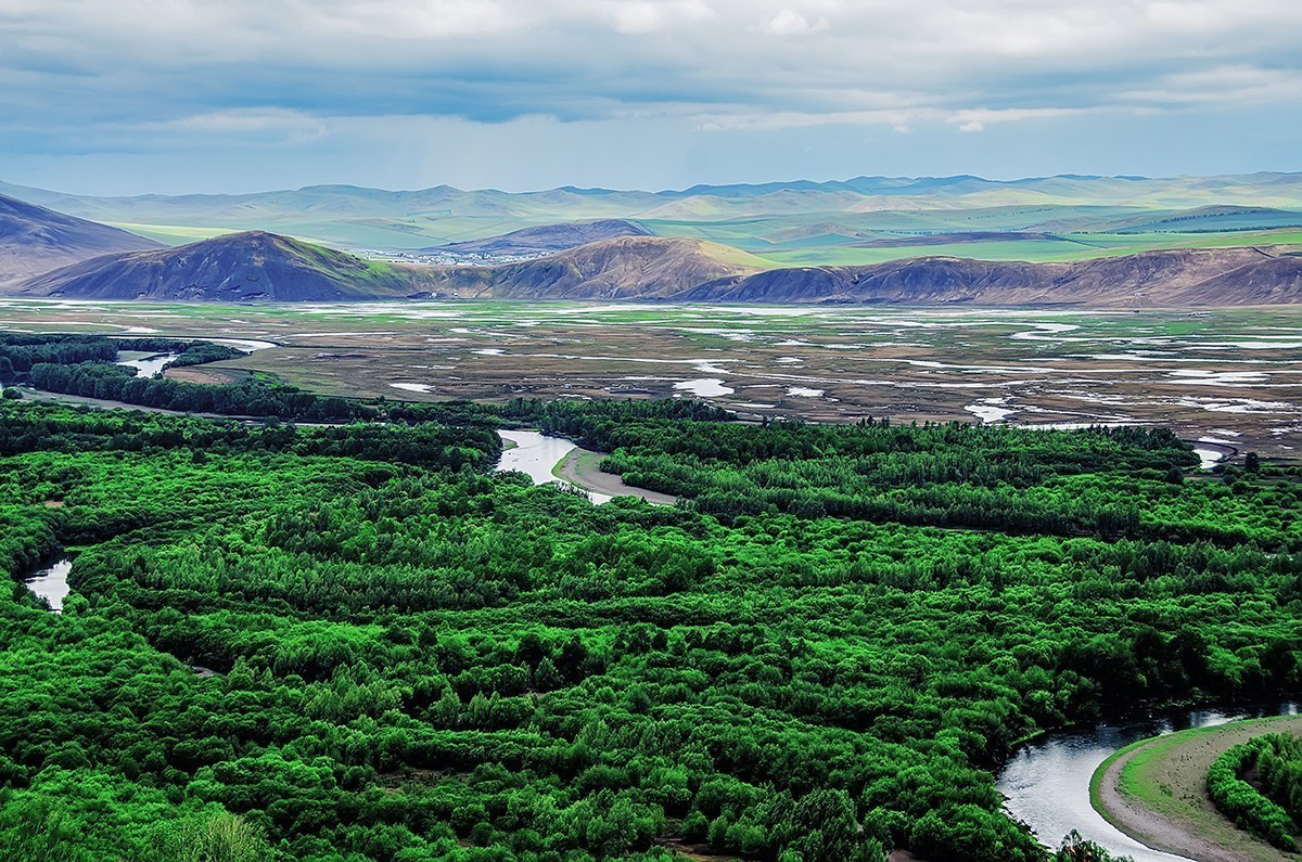 额尔古纳湿地的夏天