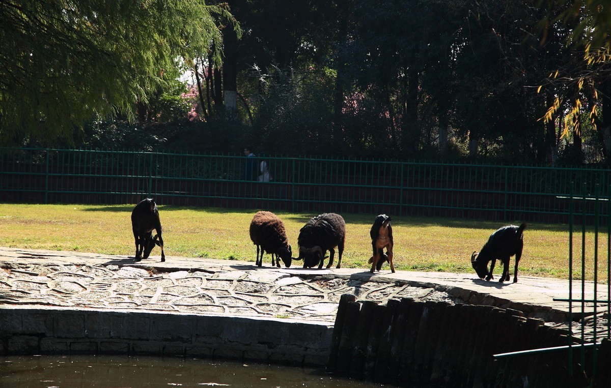 游览云南民族村