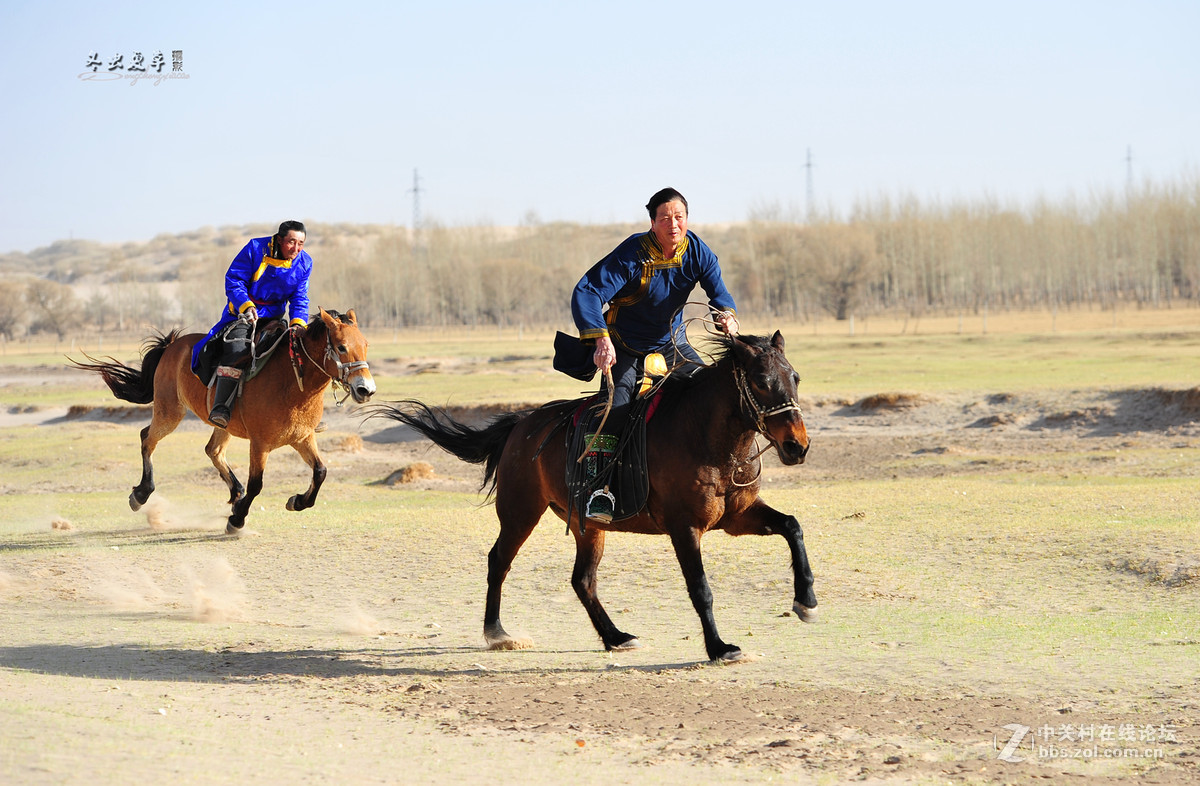 马踏黄沙尘飞扬，大漠深处有骑强。纵横沙海任我翔，茫茫隔壁一片黄。[呲