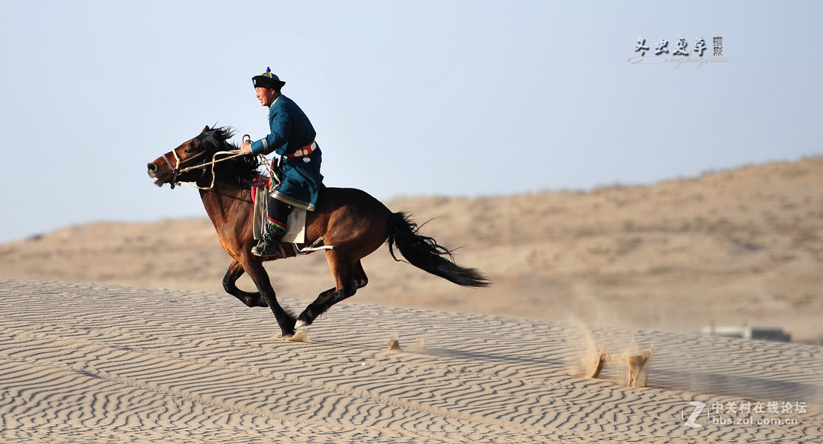 马踏黄沙尘飞扬，大漠深处有骑强。纵横沙海任我翔，茫茫隔壁一片黄。[呲