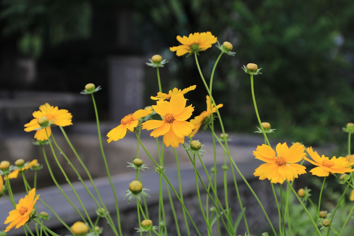 80D拍的一组照片，请观看、点评