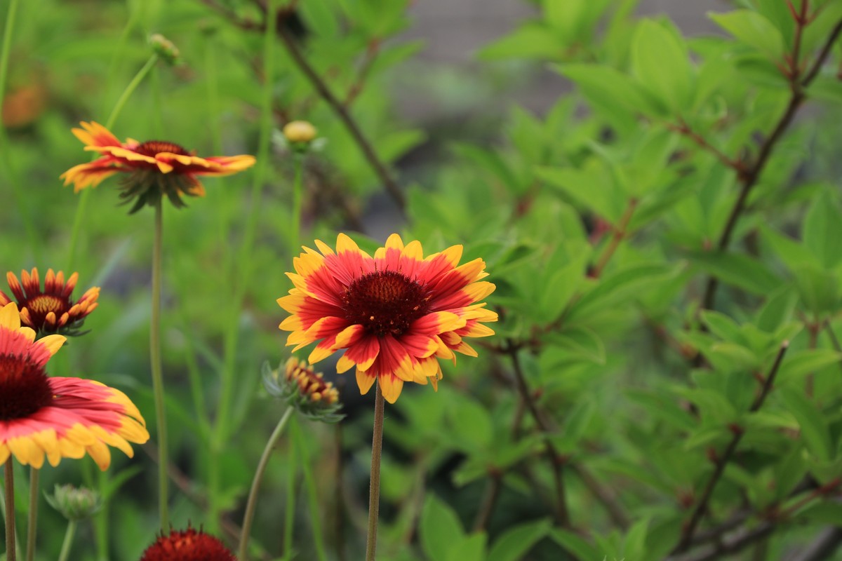 80D拍的一组照片，请观看、点评