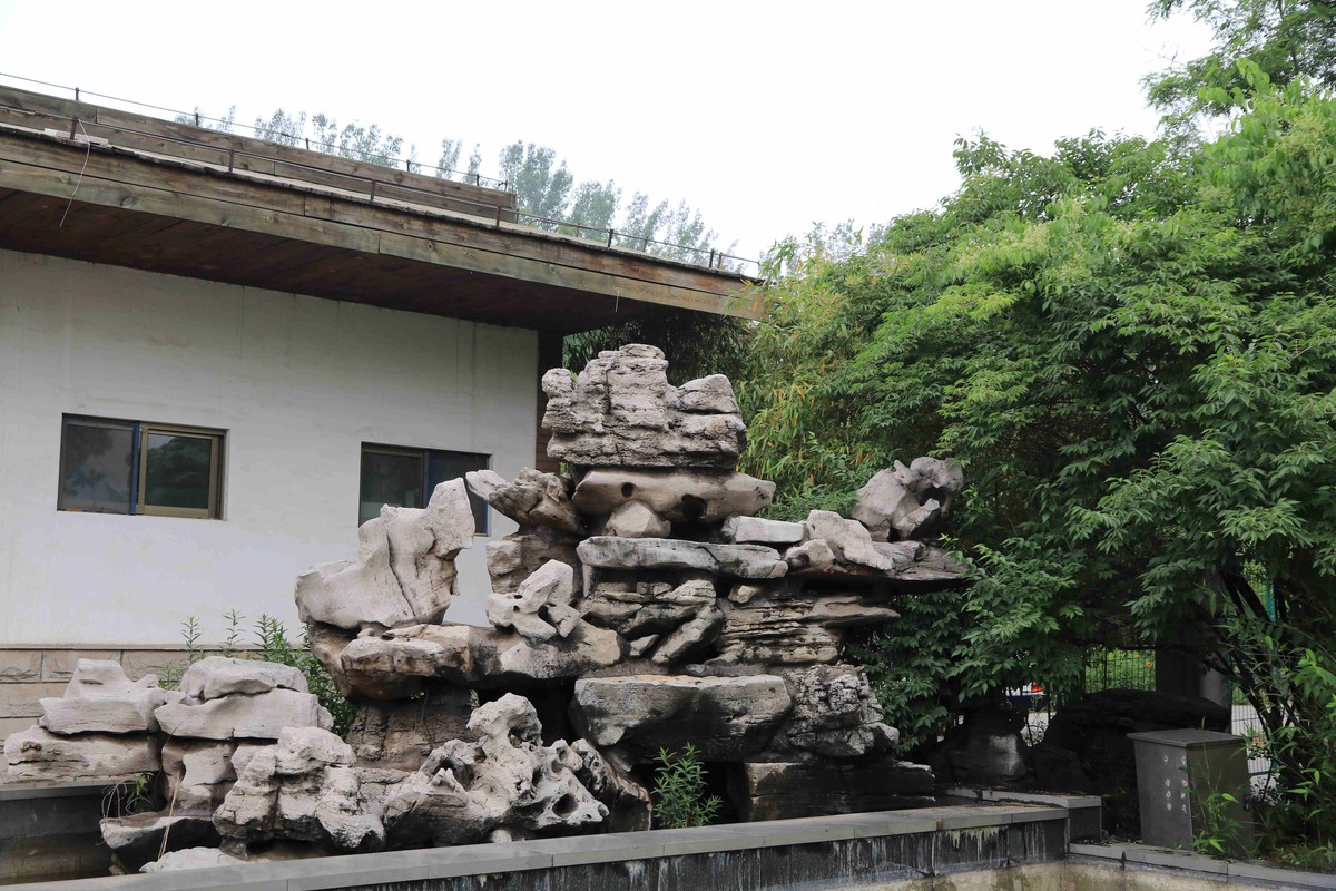 80D拍的一组照片，请观看、点评