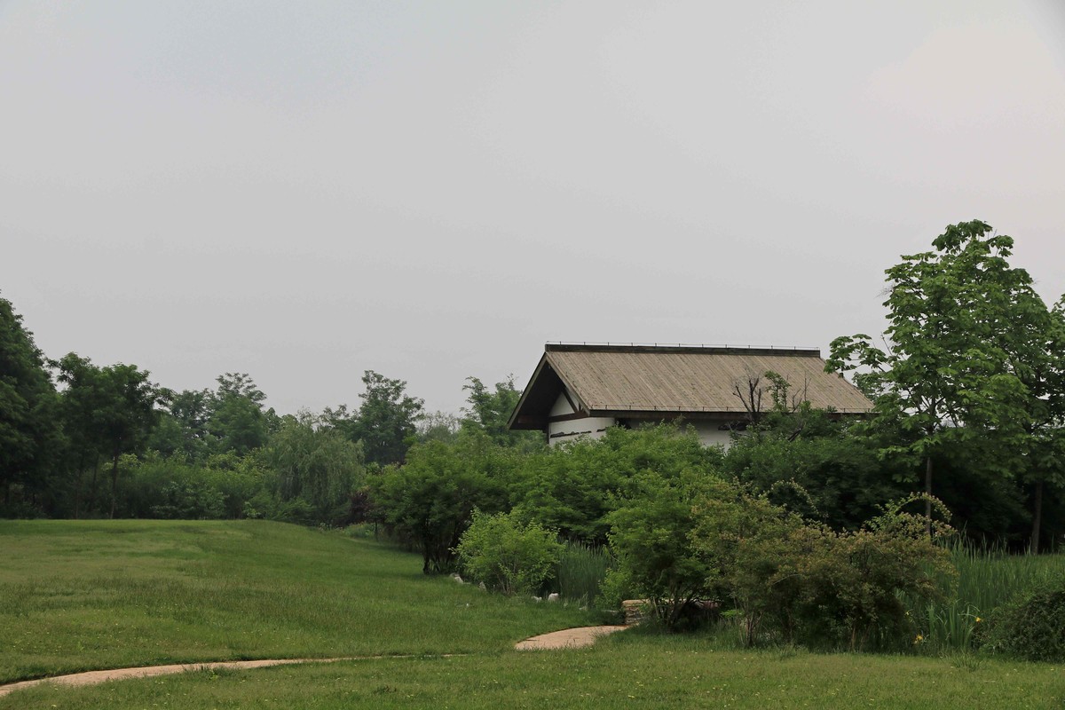 80D拍的一组照片，请观看、点评