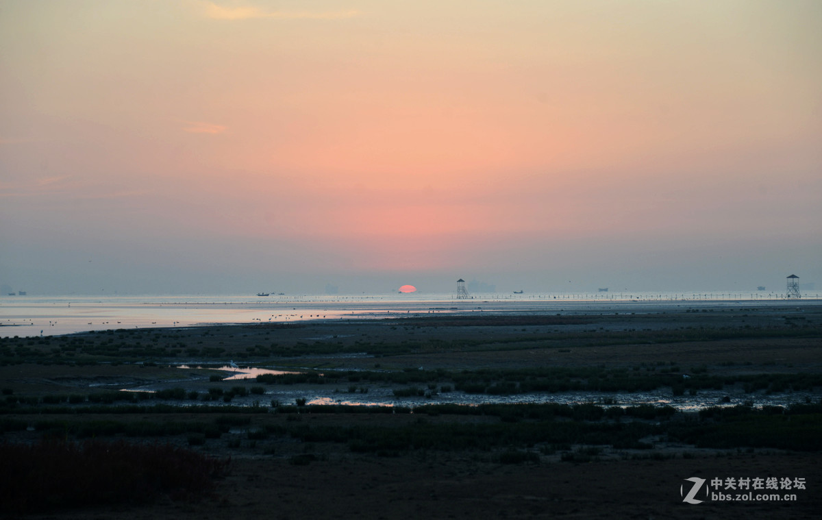 北戴河湿地早晨