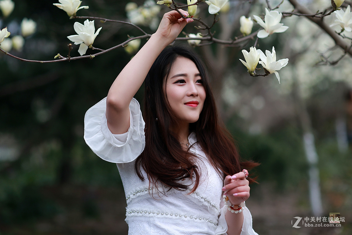 白玉兰物语（桐桐）