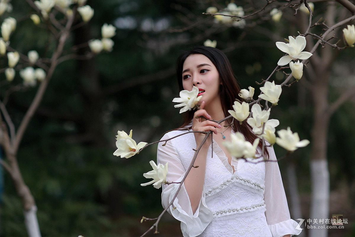 白玉兰物语（桐桐）