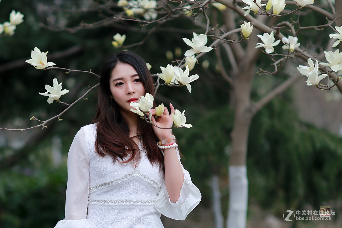 白玉兰物语（桐桐）