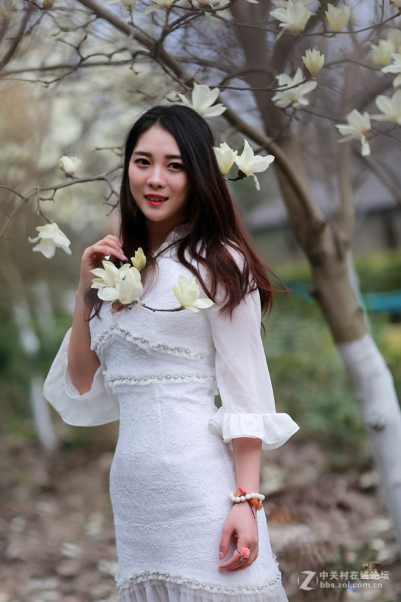 白玉兰物语（桐桐）