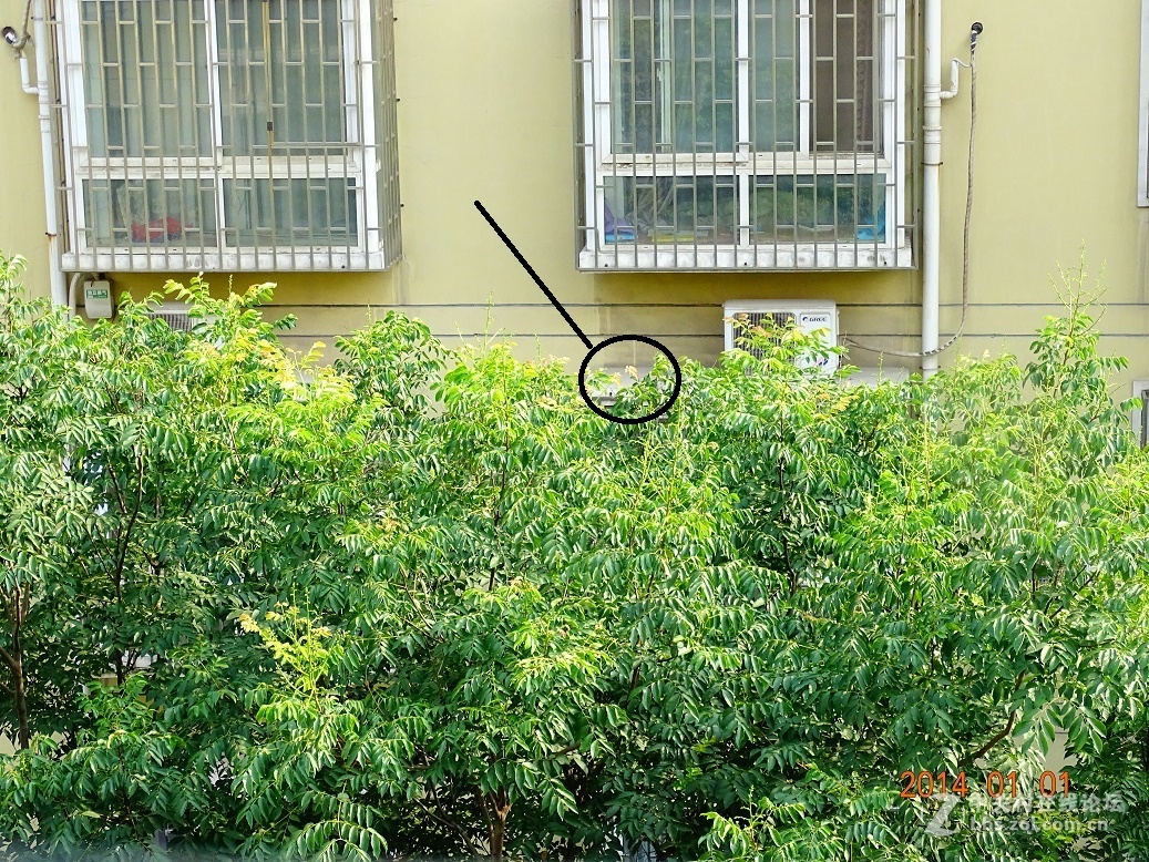 松下FZ2500的噪点