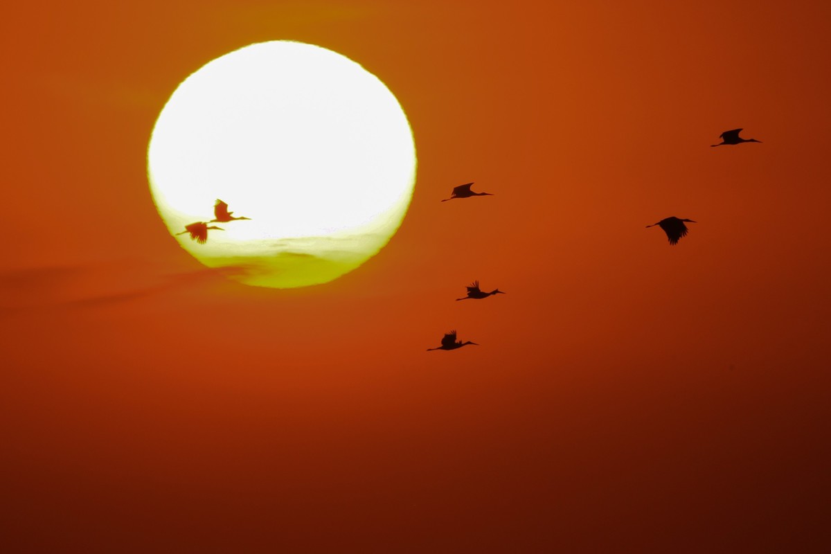 湿地夕阳