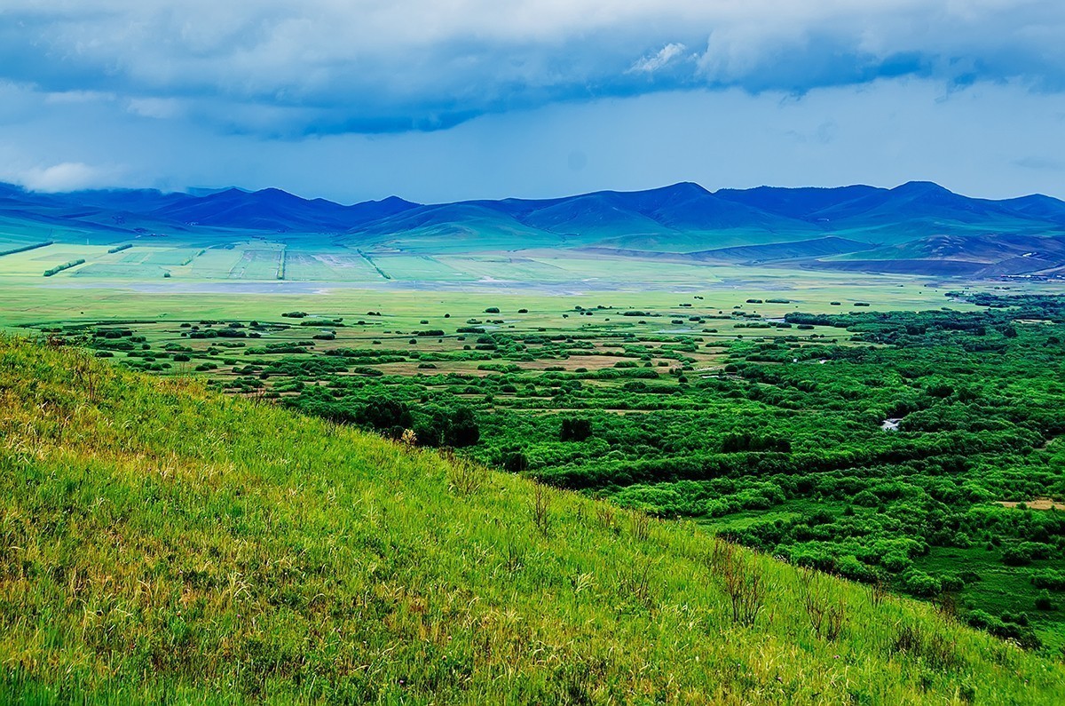 额尔古纳湿地的夏天