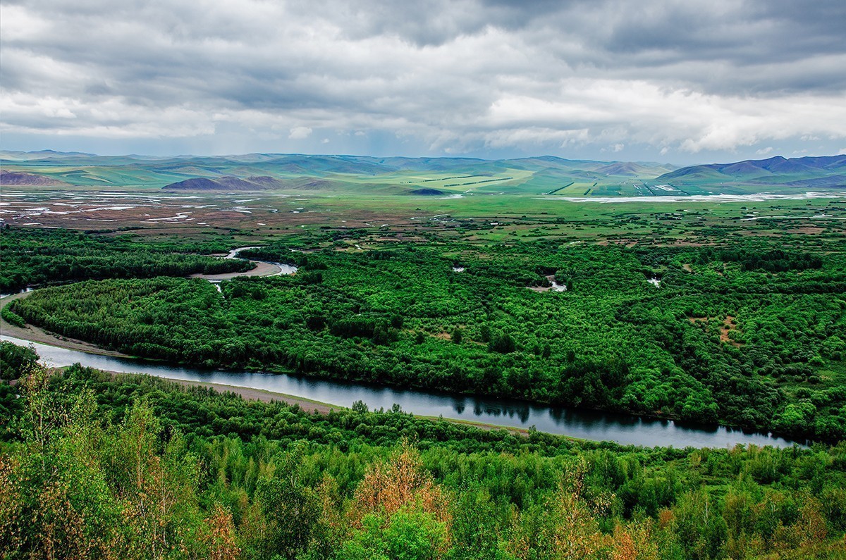 额尔古纳湿地的夏天