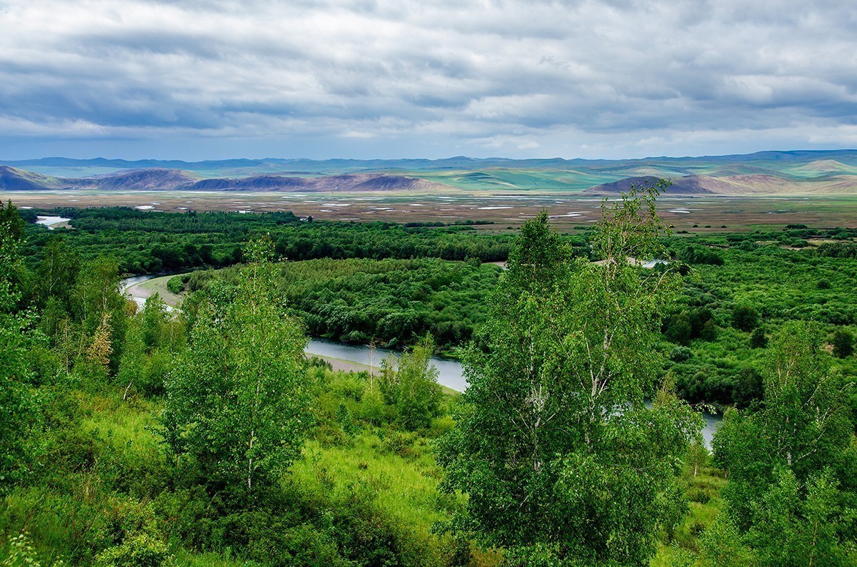 额尔古纳湿地的夏天