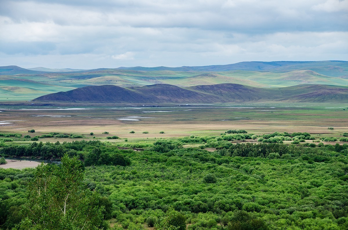额尔古纳湿地的夏天