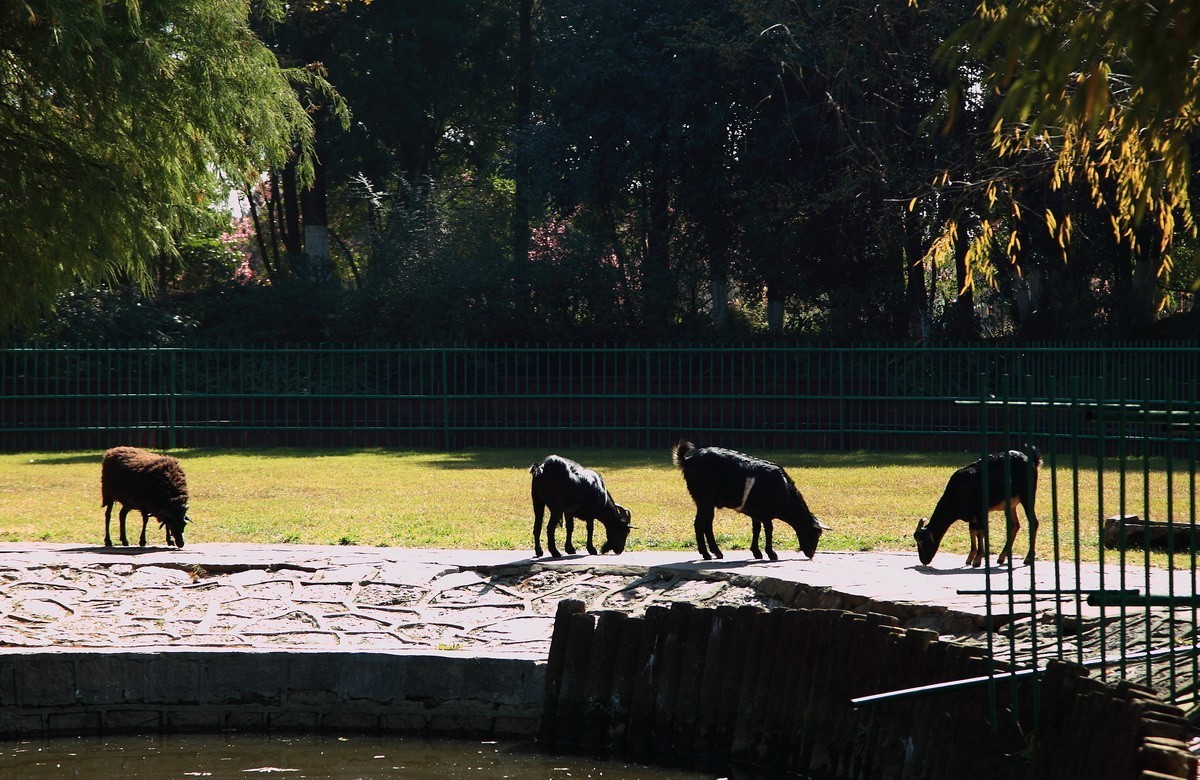 游览云南民族村