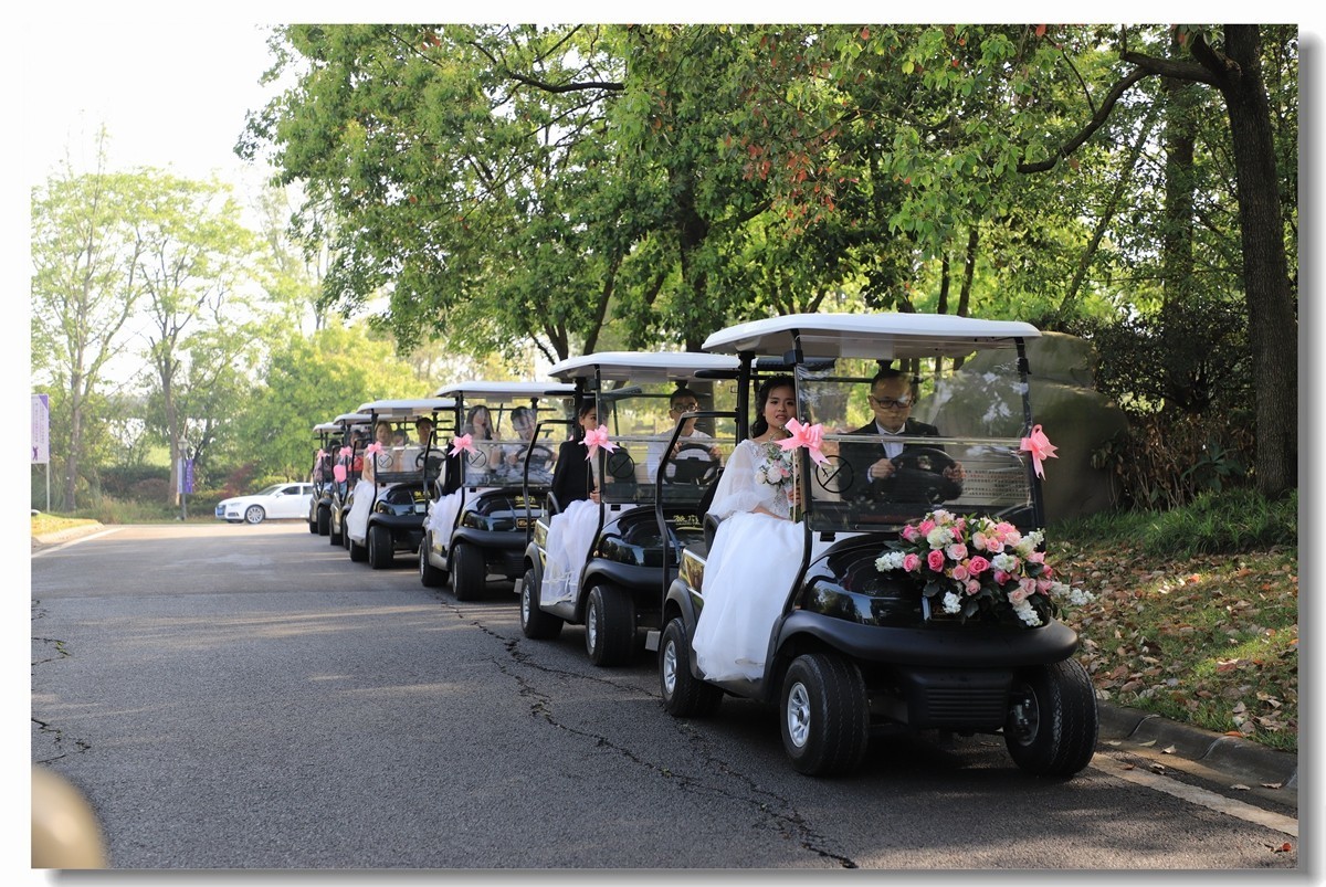 Z5：尝试婚礼跟拍--新鲜又过瘾