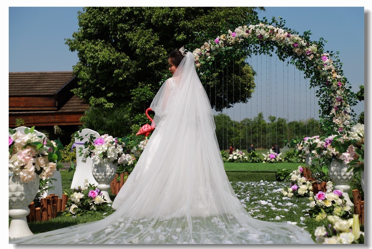 Z5：尝试婚礼跟拍--新鲜又过瘾