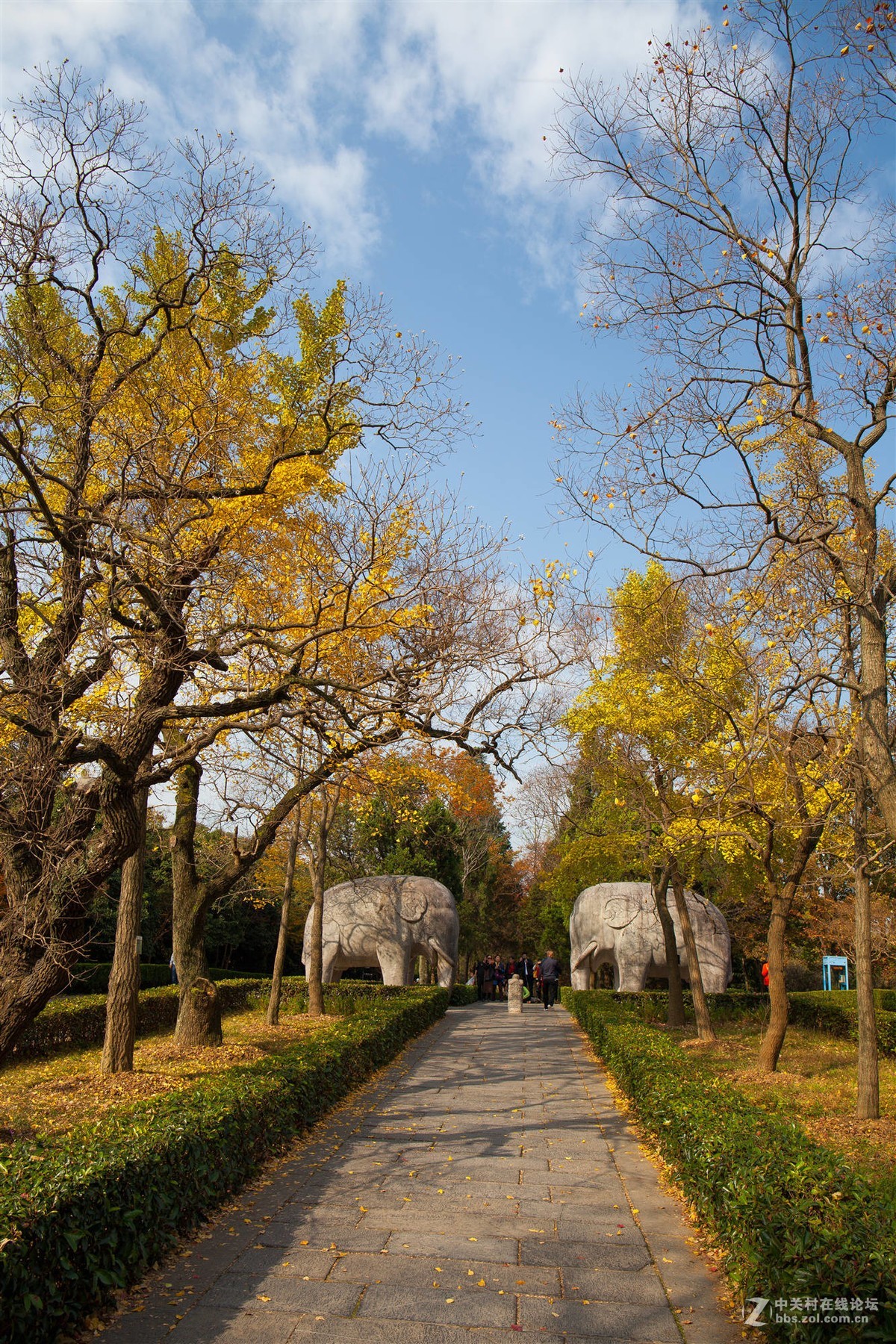 秋游石象路续