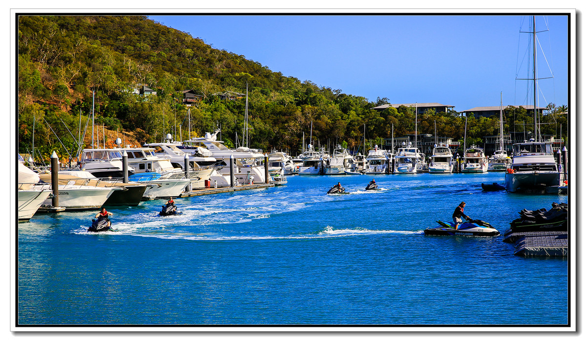 《汉密尔顿岛的游船码头》