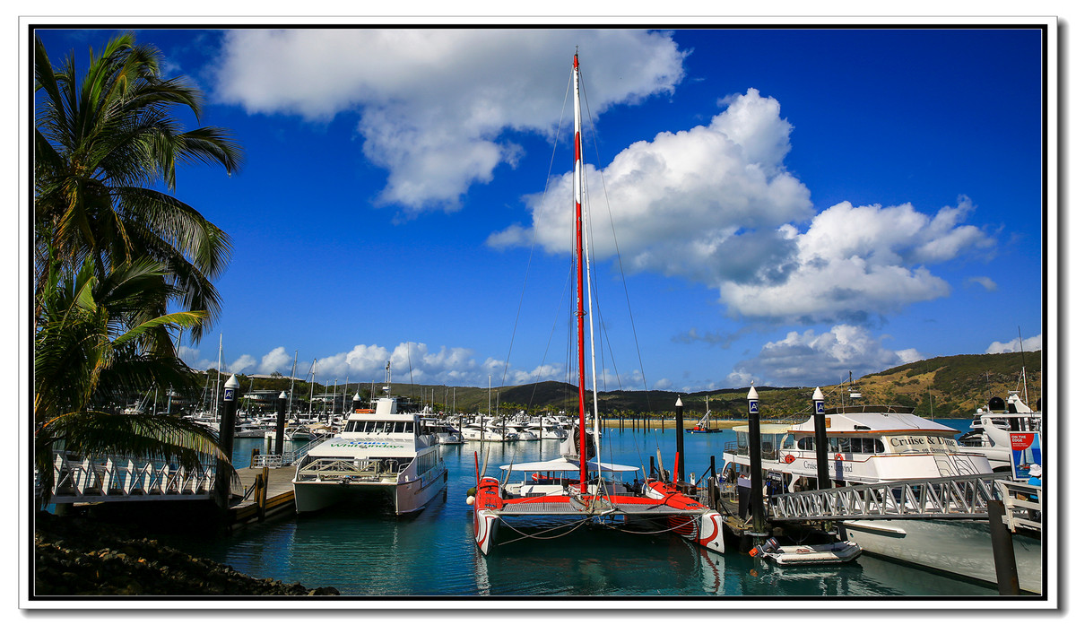 《汉密尔顿岛的游船码头》