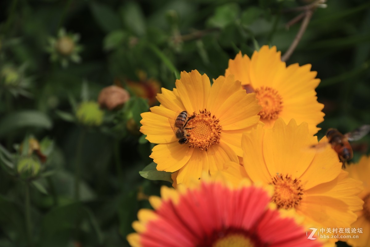 80D拍的一组片子，请点评，，