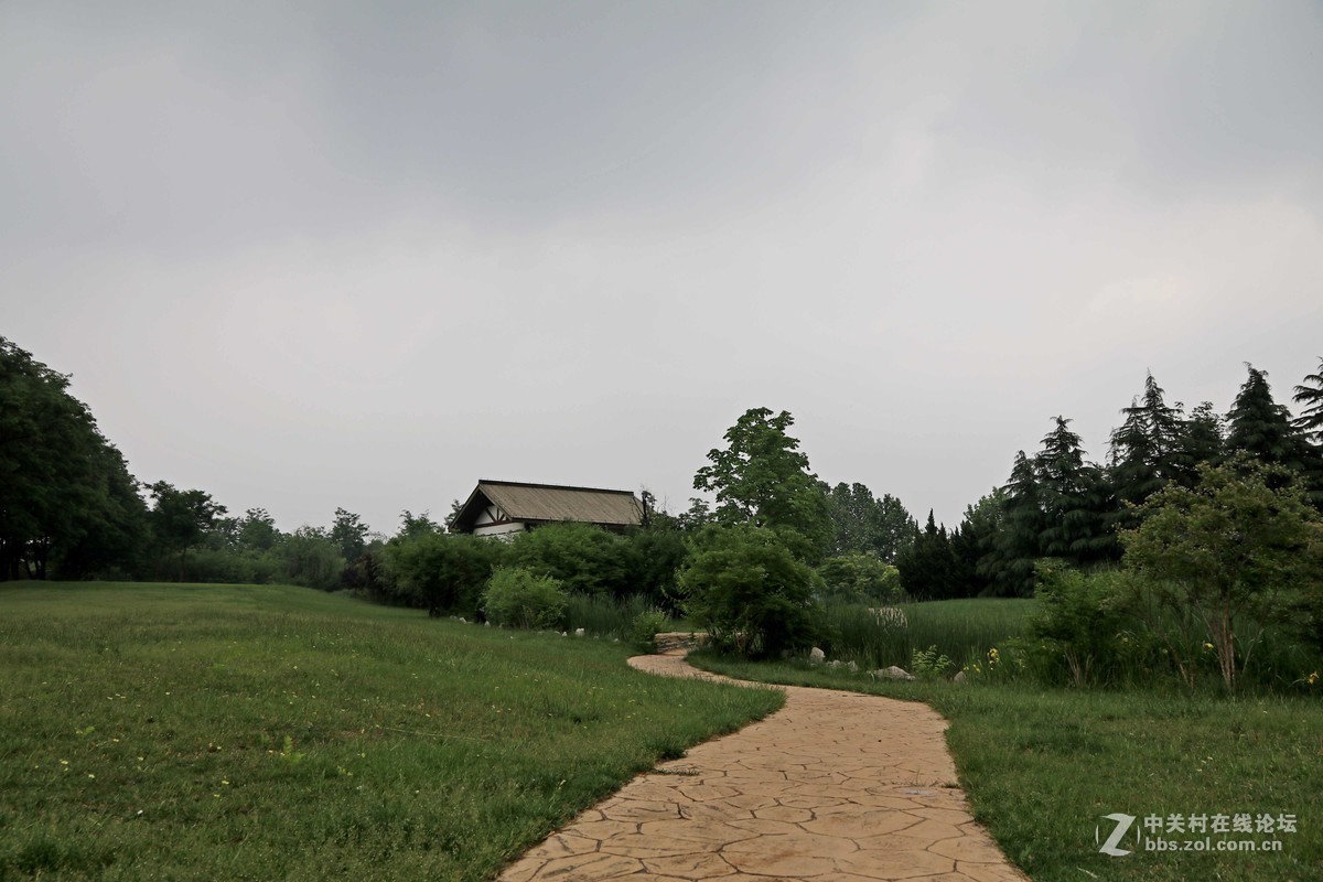 80D拍的一组片子，请点评，，