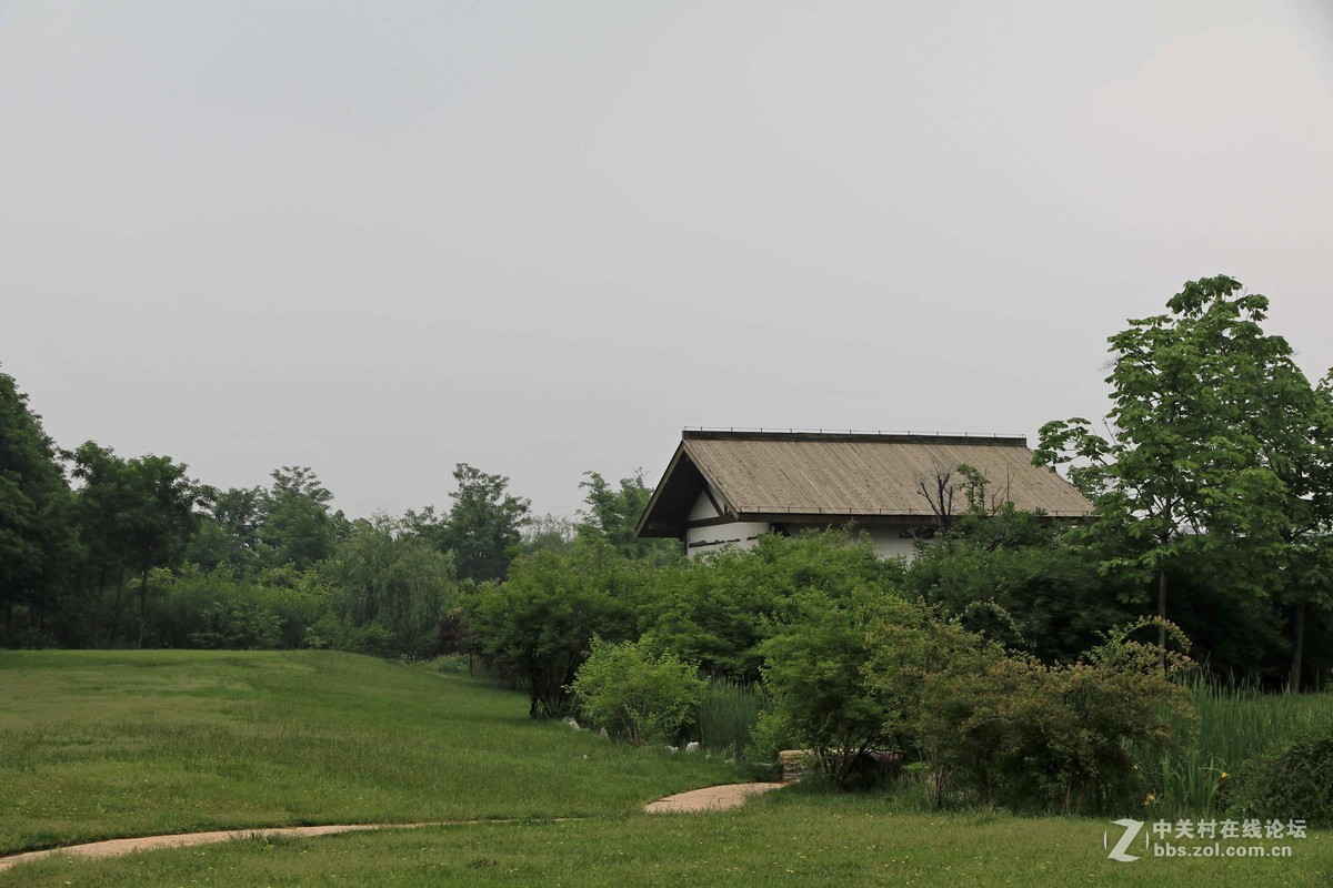 80D拍的一组片子，请点评，，