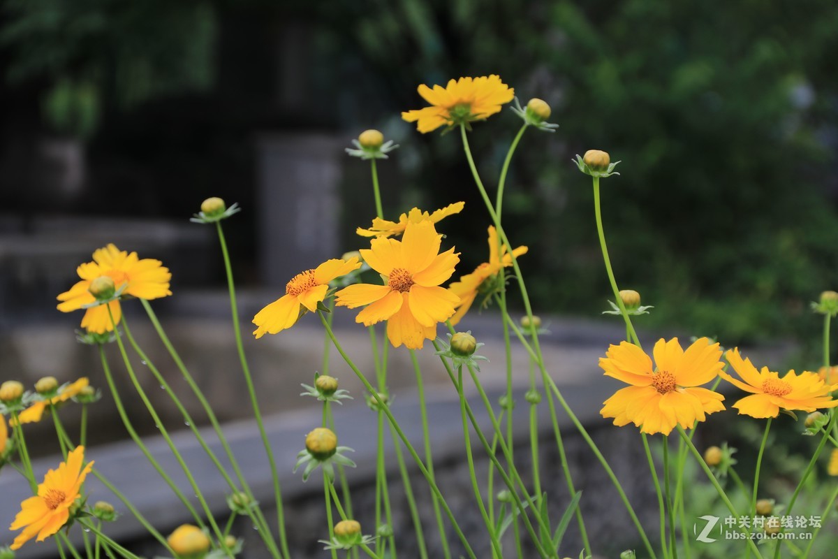 80D拍的一组片子，请点评，，