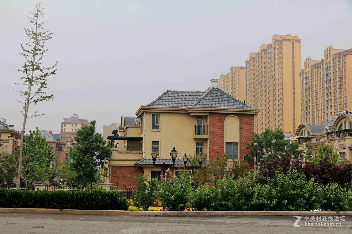 80D拍的一组片子，请点评，，