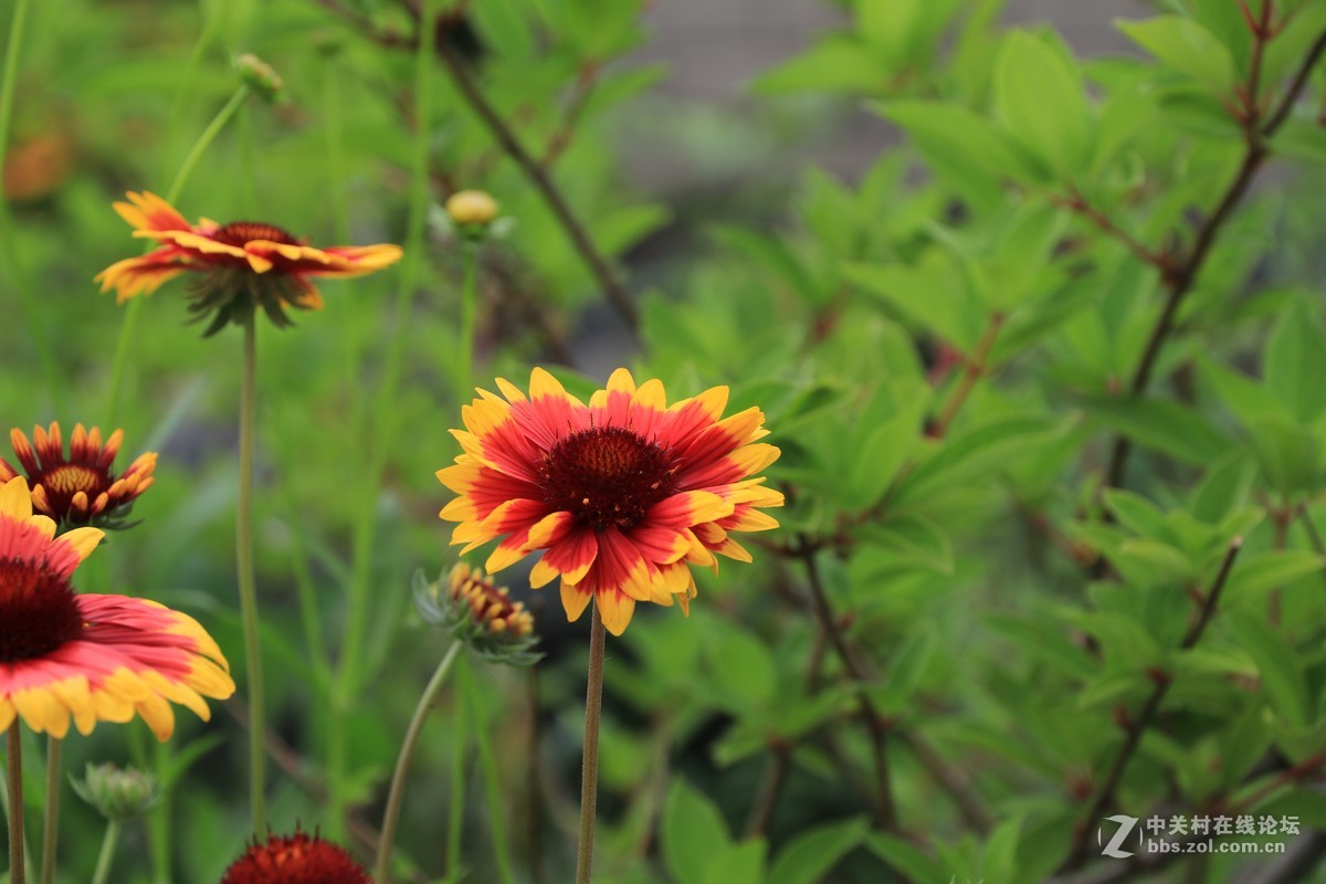 80D拍的一组片子，请点评，，