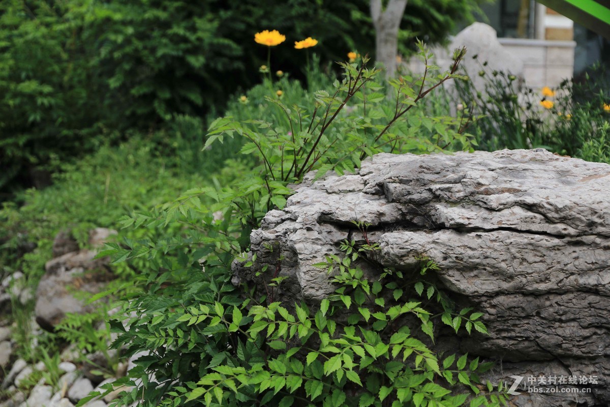 80D拍的一组片子，请点评，，