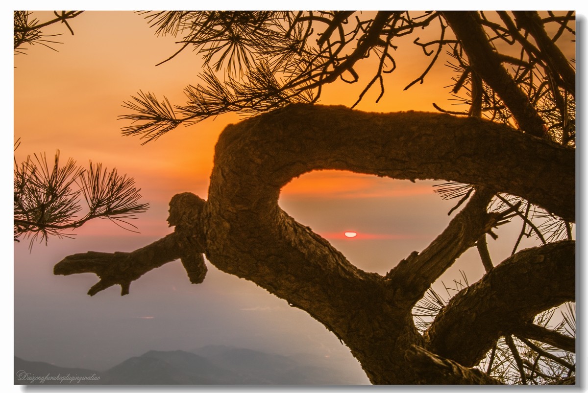 【老张光影】羡夕阳  慕星辰  醉日出——泰山