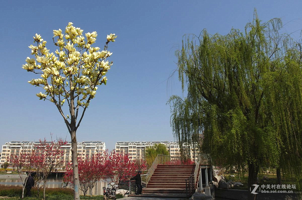 EX2F-『繁华似锦』123...11P