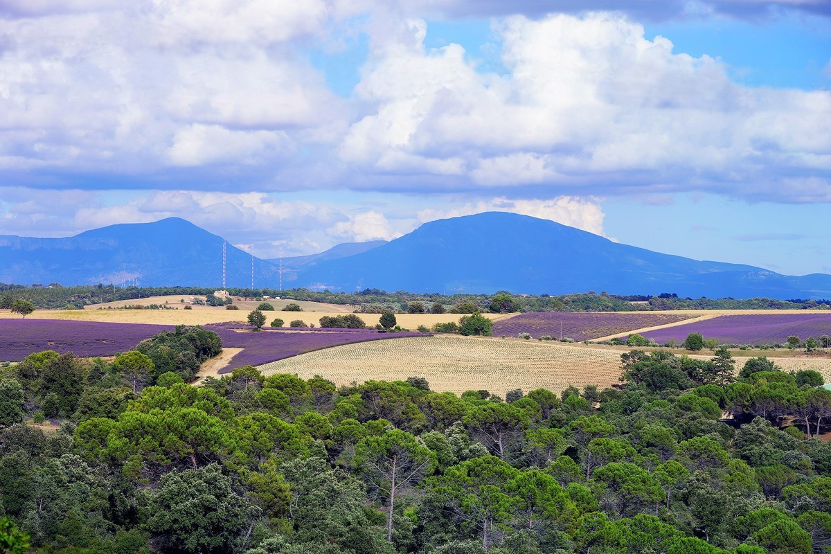 普罗旺斯的天空