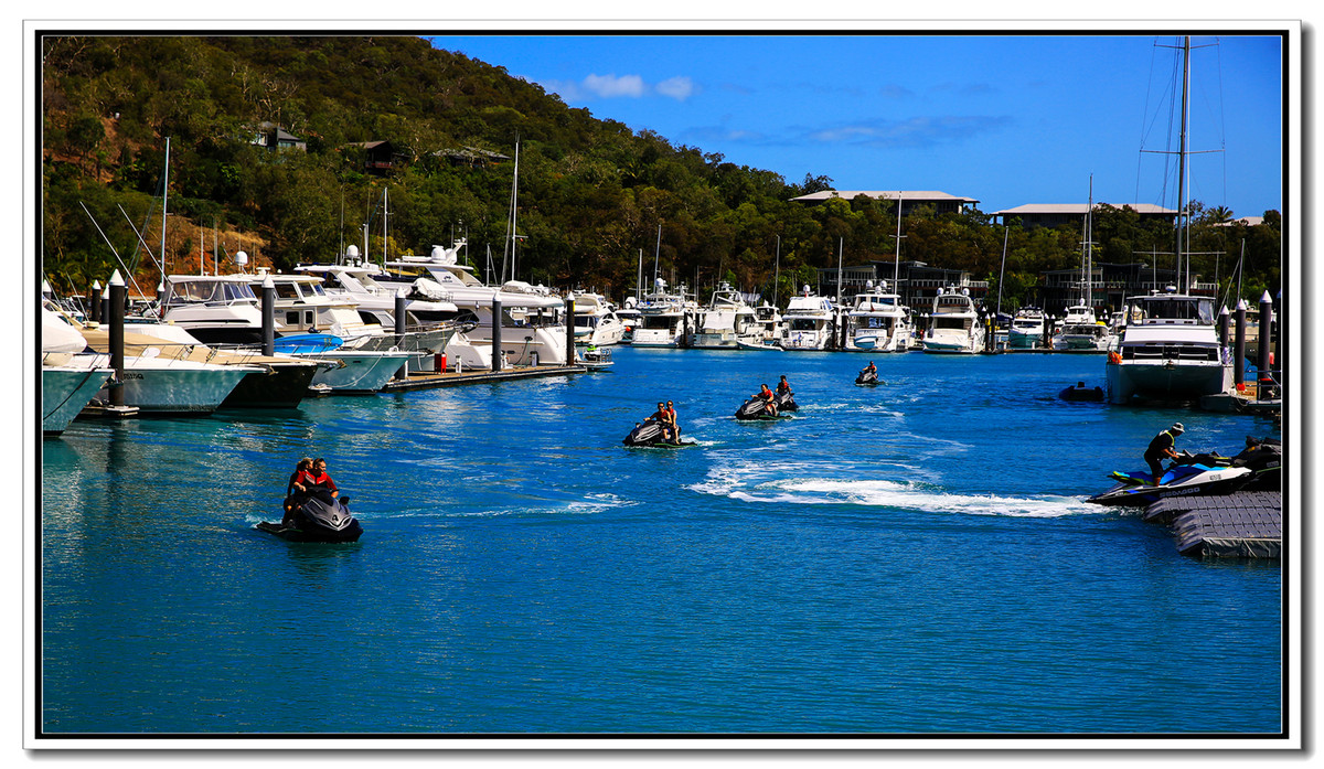 《汉密尔顿岛的游船码头》