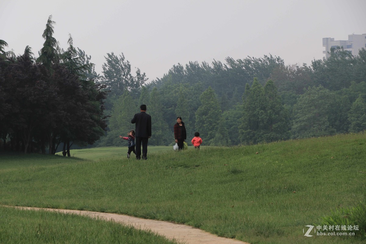 80D拍的一组片子，请点评，，