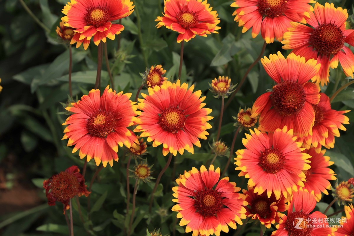 80D拍的一组片子，请点评，，