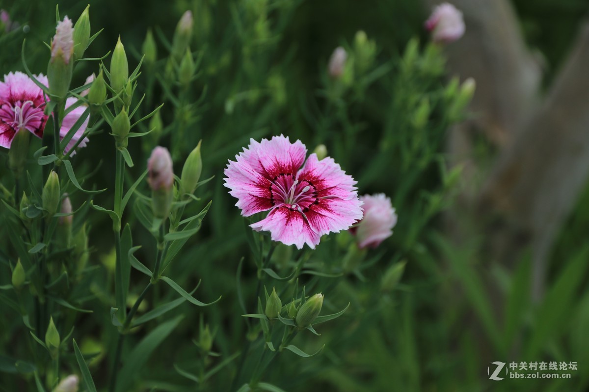 80D拍的一组片子，请点评，，