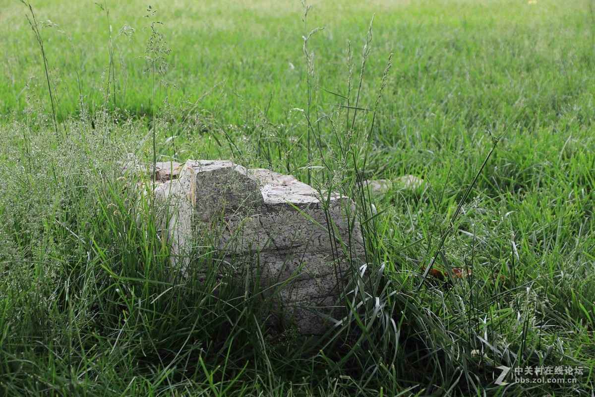 80D拍的一组片子，请点评，，