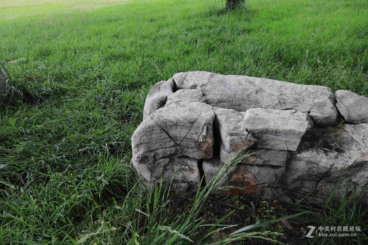 80D拍的一组片子，请点评，，