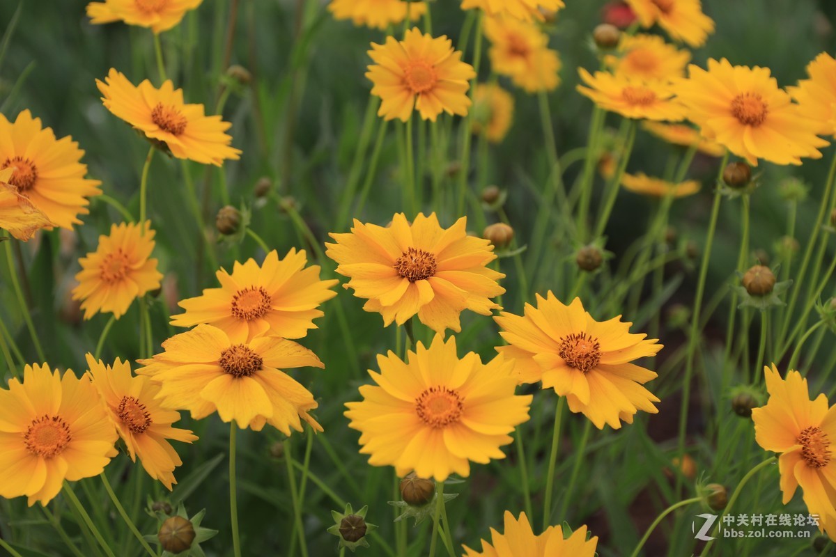 80D拍的一组片子，请点评，，