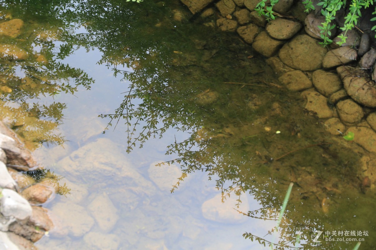 80D拍的一组片子，请点评，，