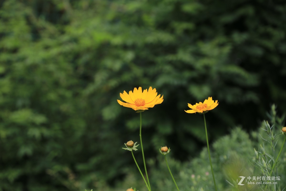 80D拍的一组片子，请点评，，